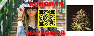 сатива Рязань