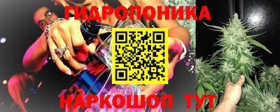 сатива Рязань