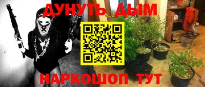 сатива Рязань