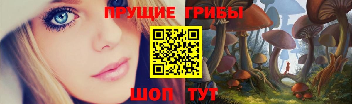 Псилоцибиновые грибы Psilocybine cubensis  Вход с VPN  что такое наркотик  Тихвин 